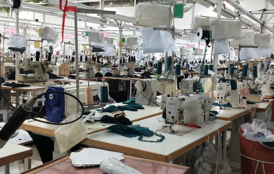 1762486962255266.jpg 1762486962255266.jpg