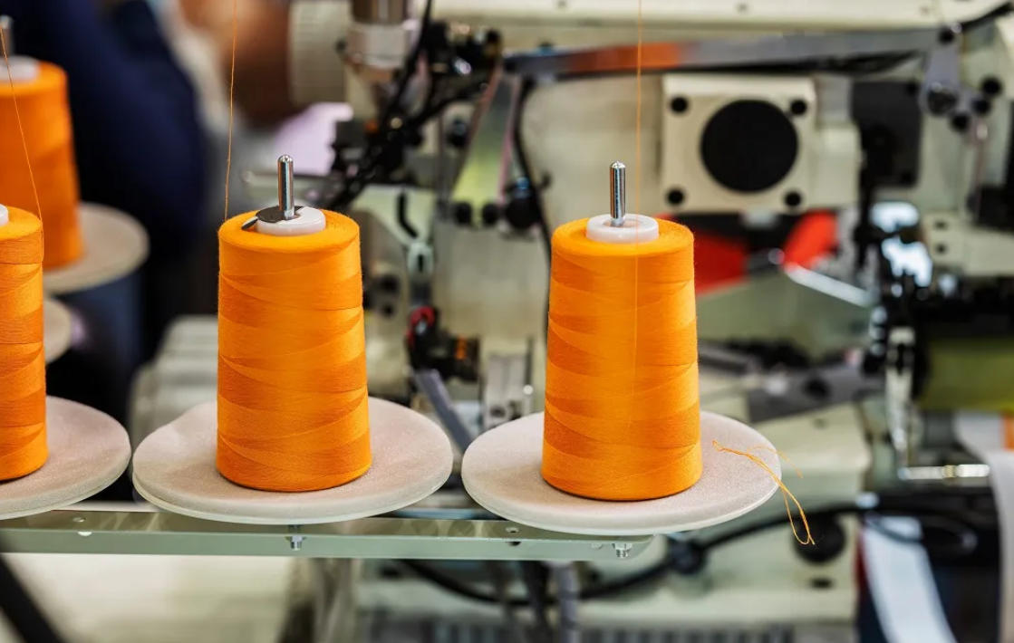 1764215259823991.jpg 1764215259823991.jpg