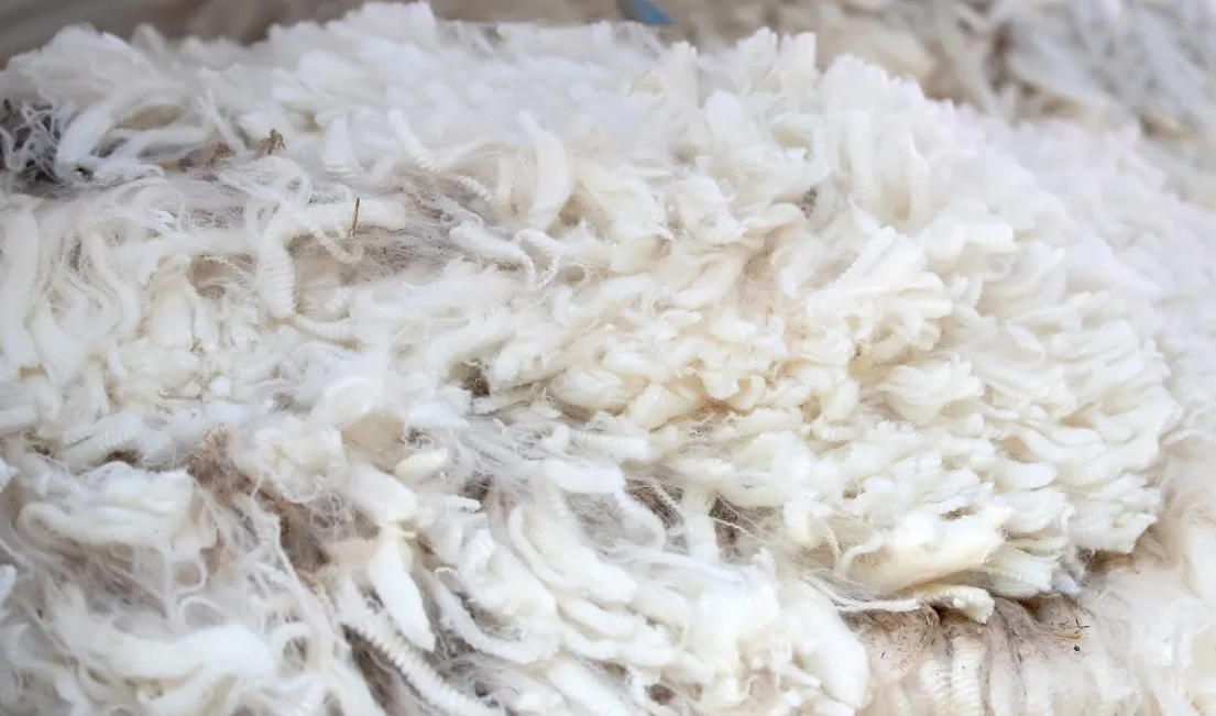 1773650238375192.jpg 1773650238375192.jpg